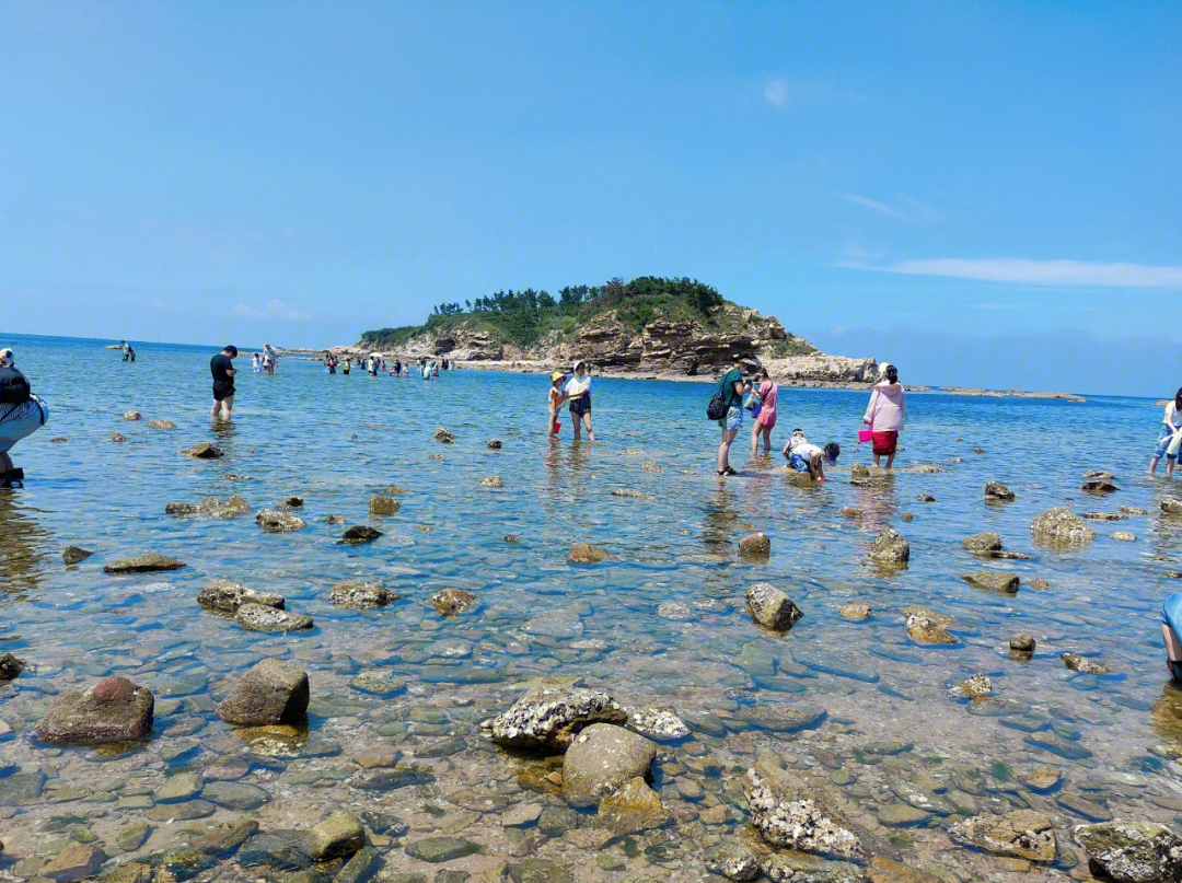 威海小石岛赶海公园图片