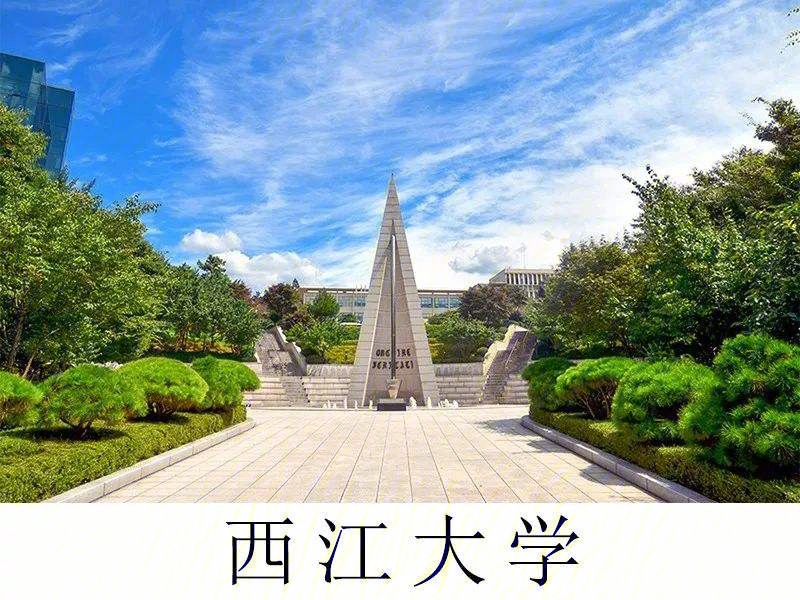 22年3月西江大学本科招生新政最新解读78
