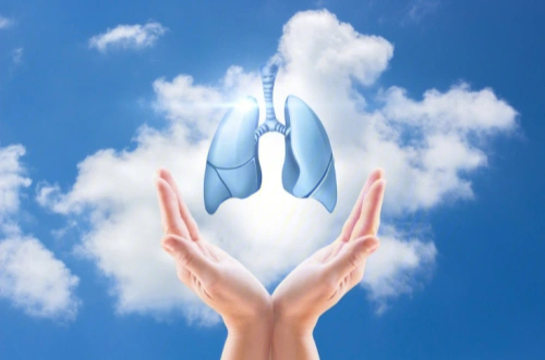 健康的肺图片高清图片