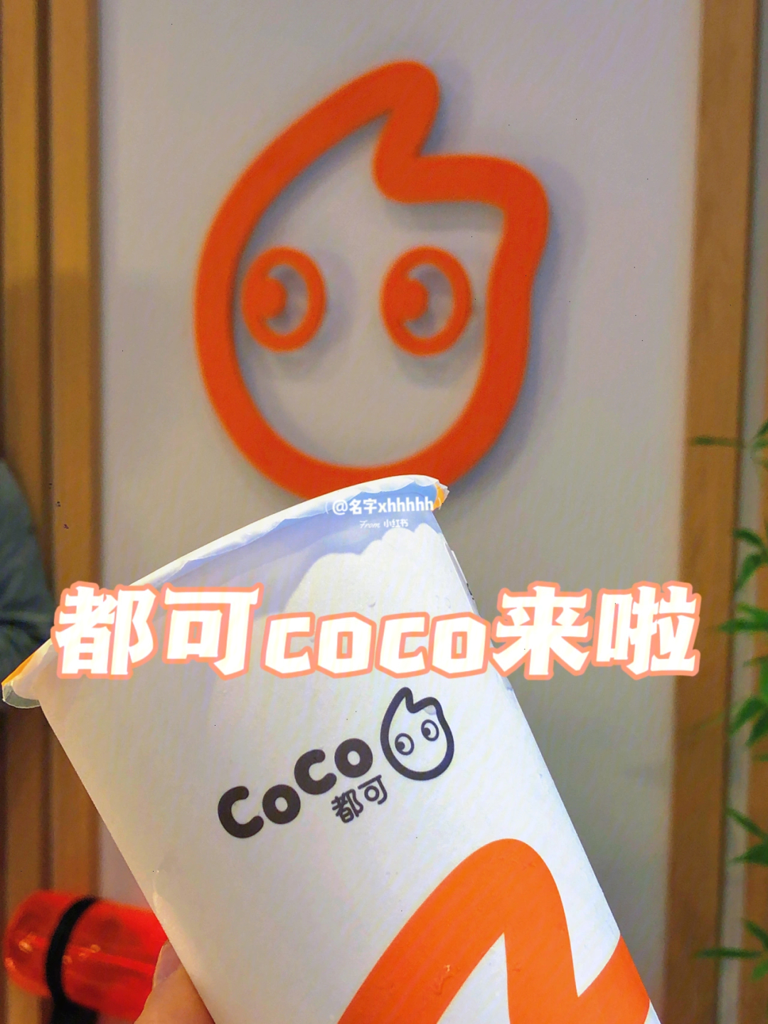 巴黎探店丨都可coco新开张