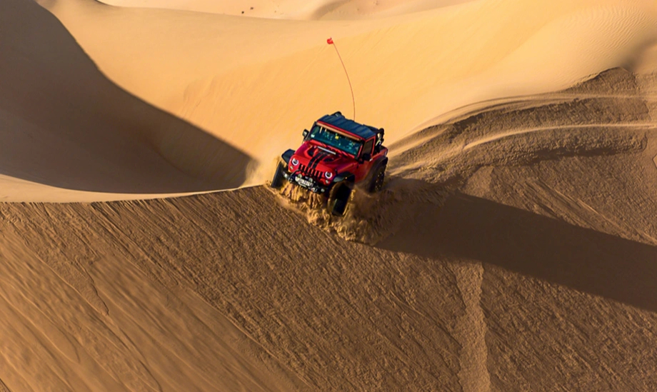 沙漠越野车排行榜图片