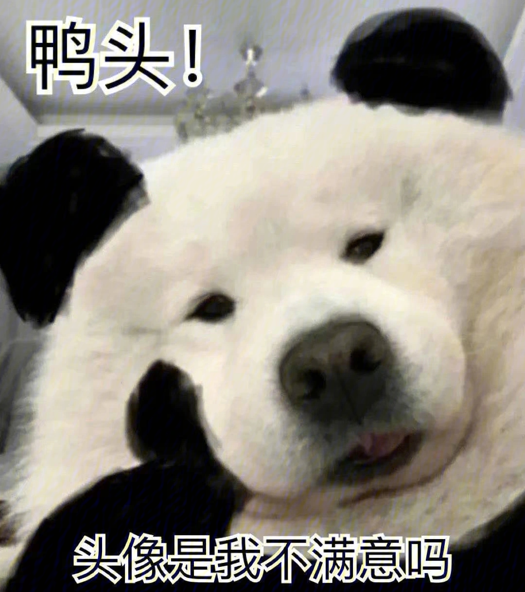 表情包熊猫