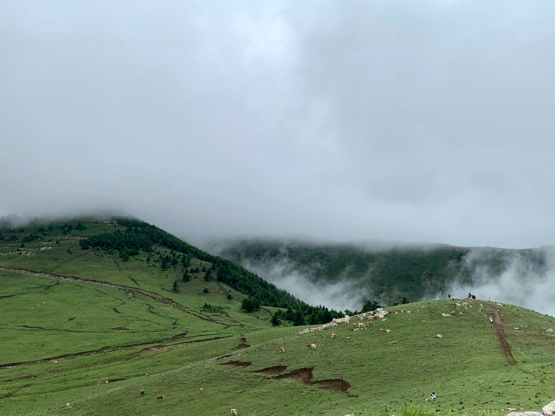 娄烦云顶山风景区门票图片