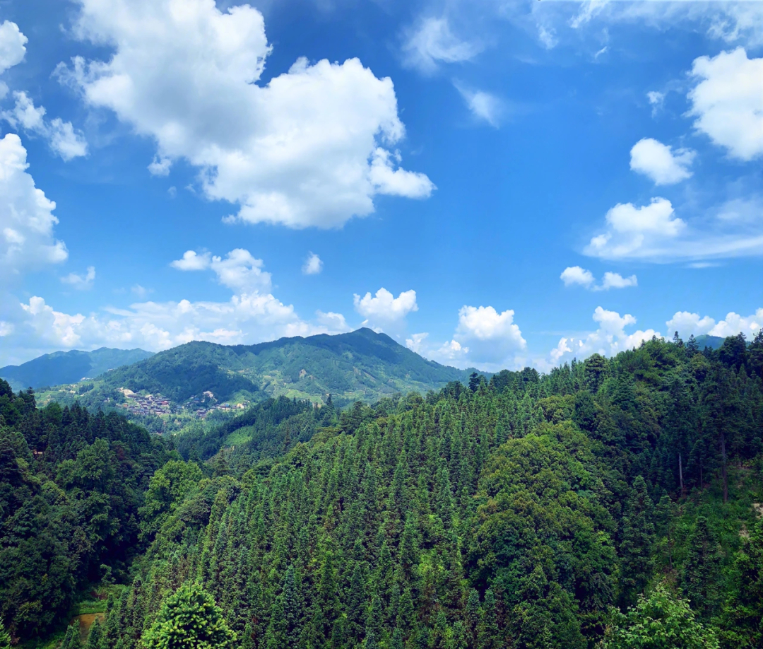 大山里的风景