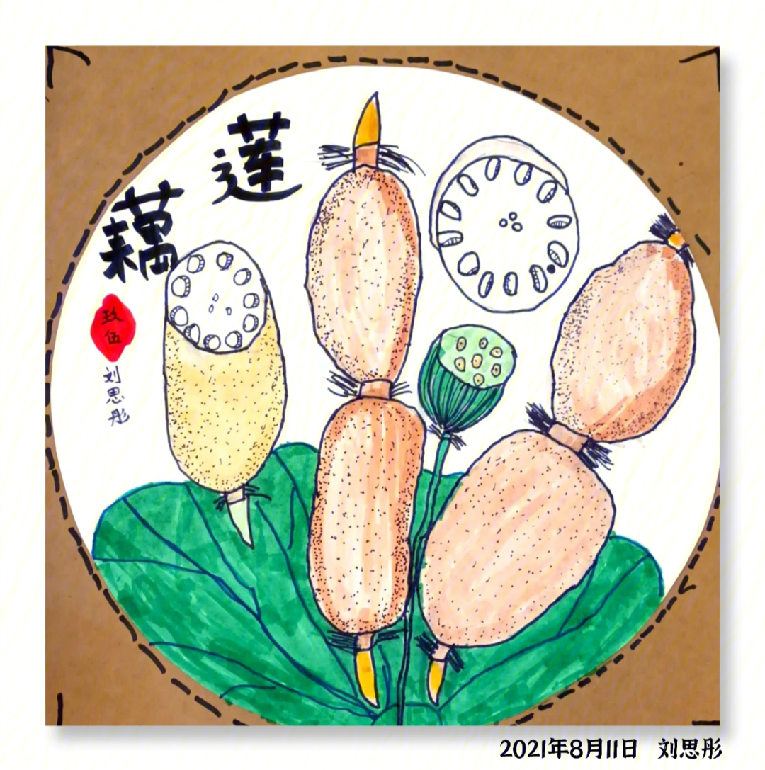 儿童画莲藕美术教案图片
