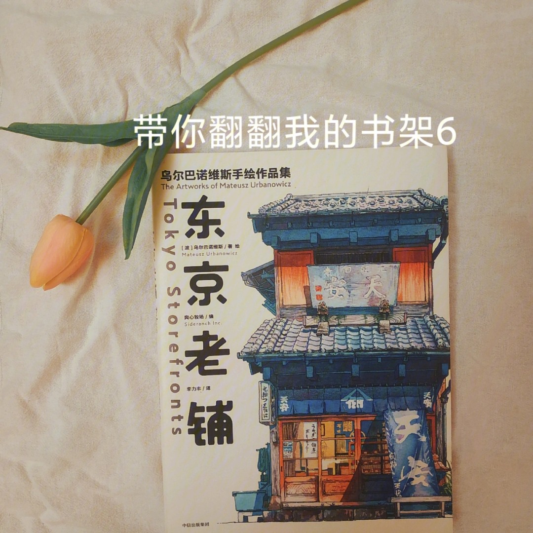 这本书的作者是波兰自由插画师乌尔巴诺维斯,他工作并生活在东京,曾为