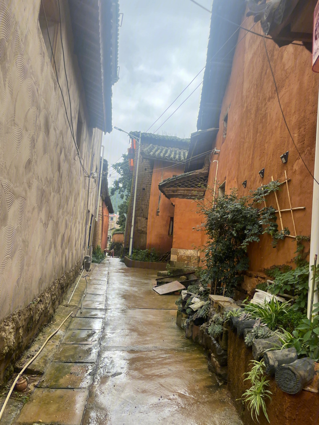 大墨雨村图片