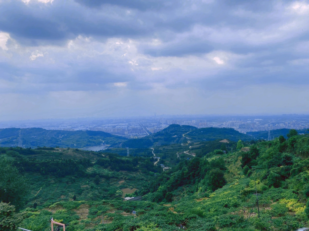 等风来龙泉山图片