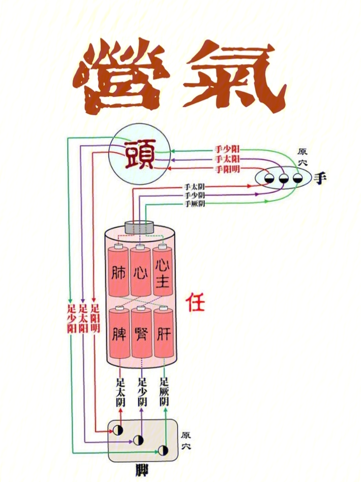 养生须知你的营气遁行了吗