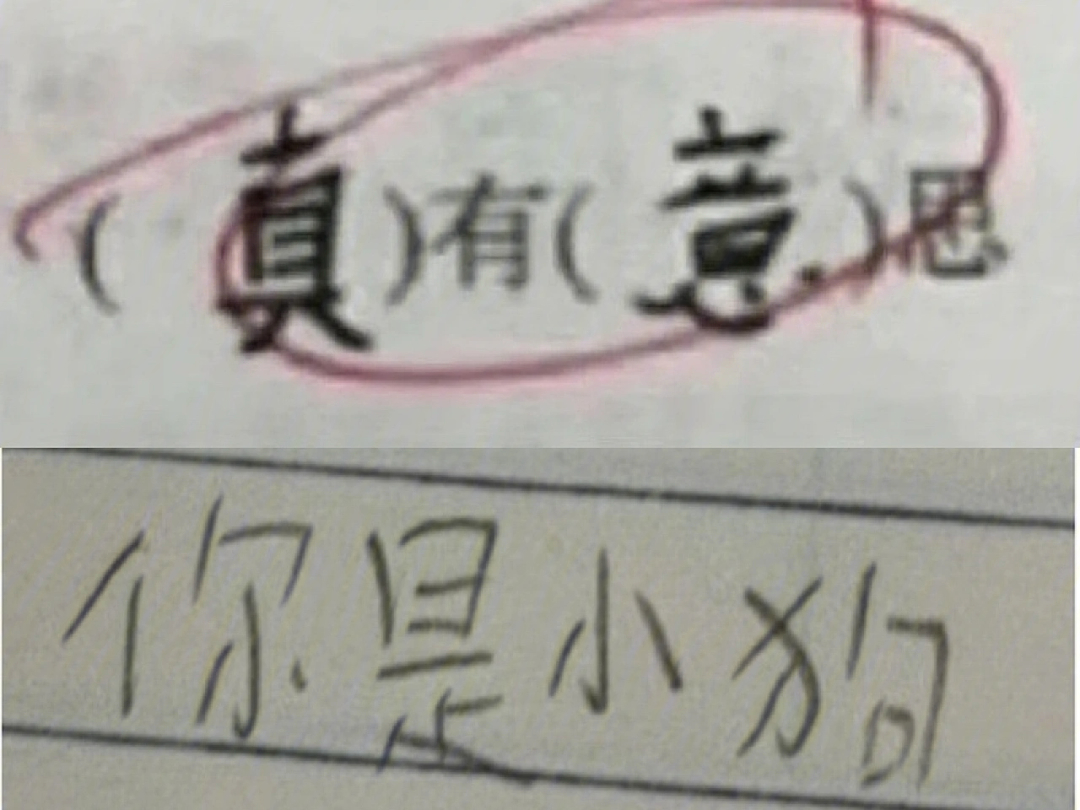 小学生手写字表情包图片