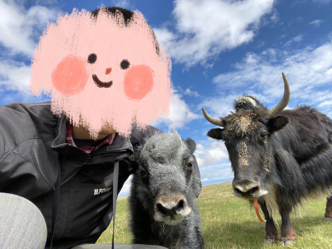 尤瑞艾莉和小牛图片