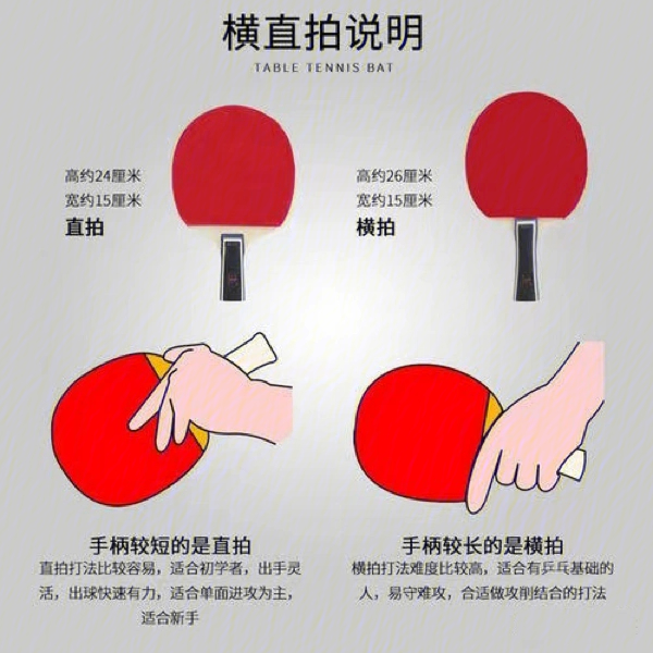 乒乓球器材介绍图片