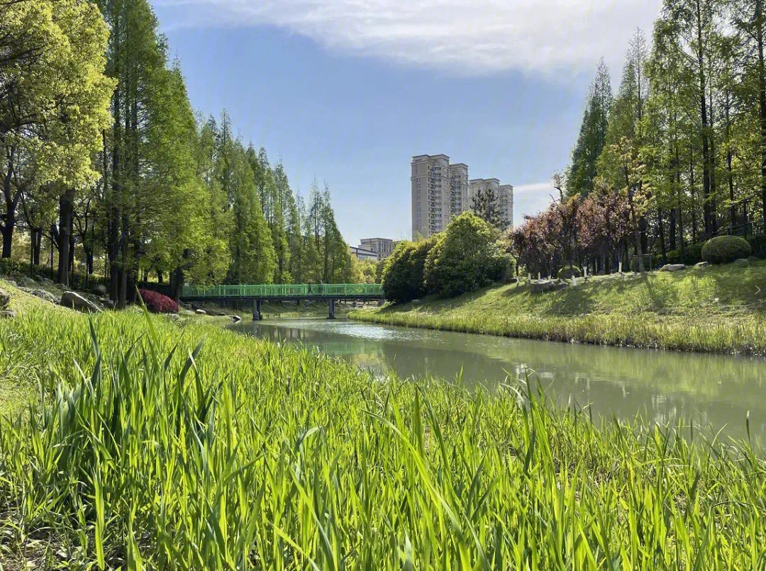 华泾港