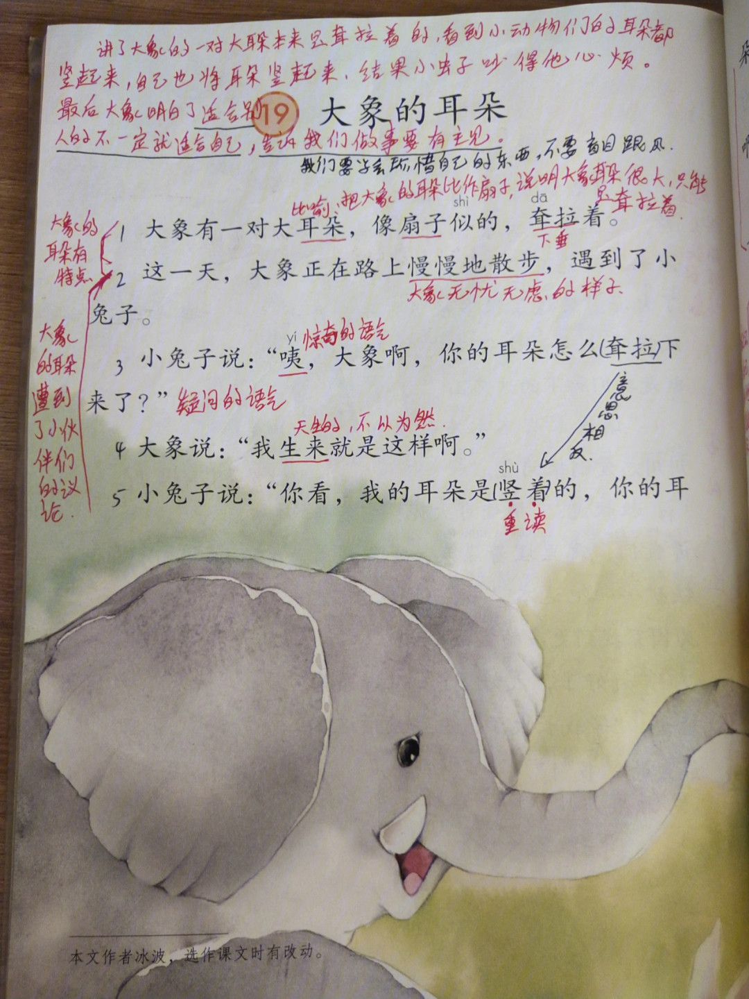 大象的耳朵笔记课文图片