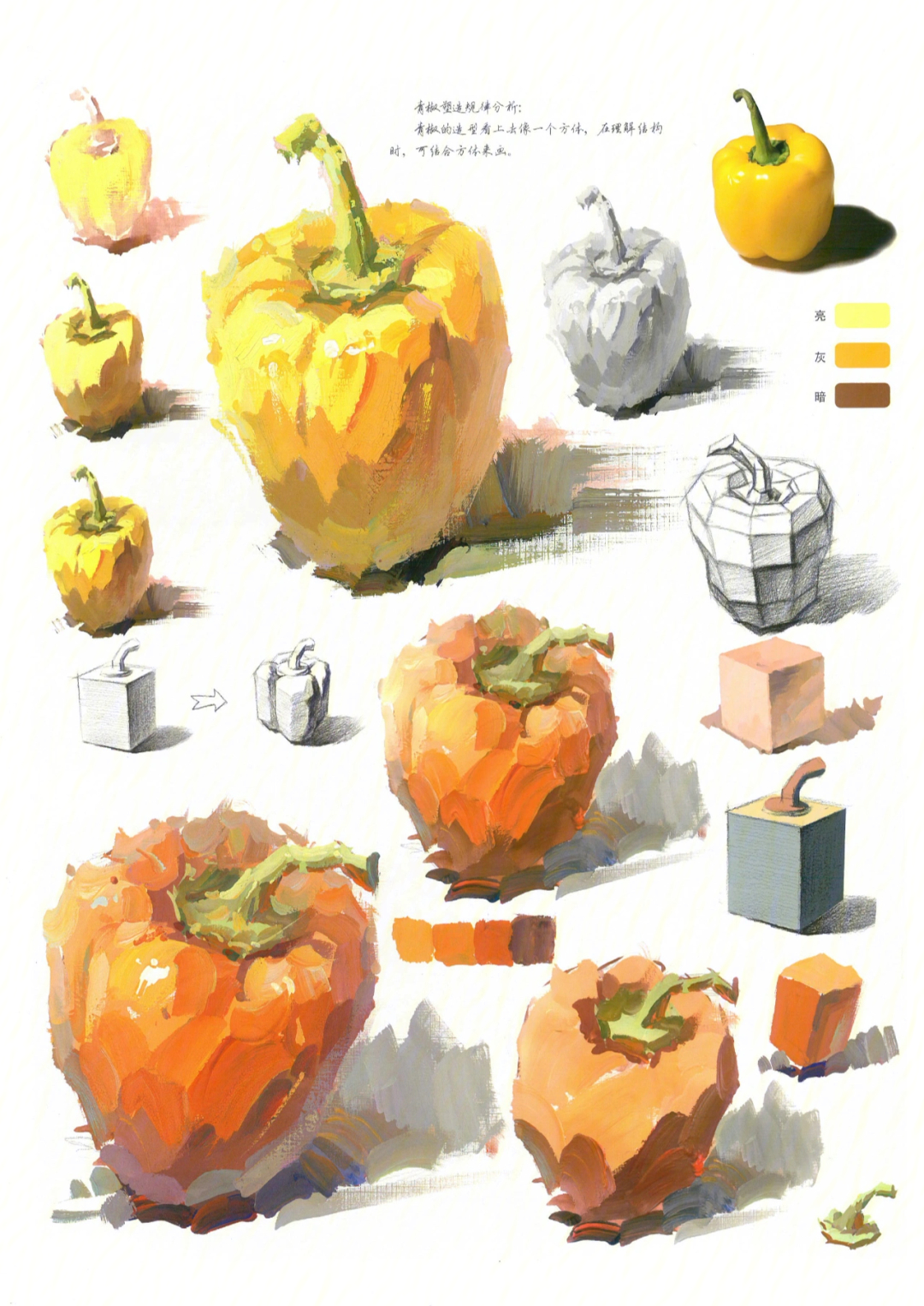 色彩青椒的画法图片图片