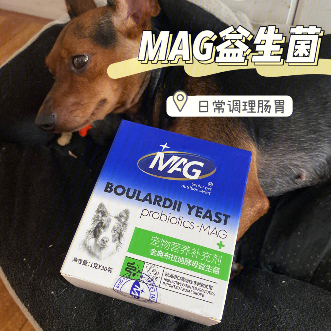 mag金典布拉迪酵母益生菌