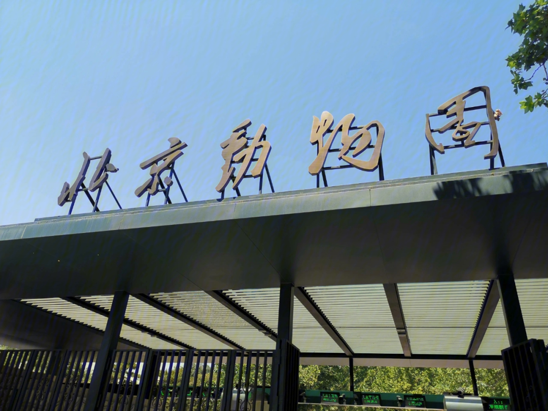 北京动物园枢纽站图片