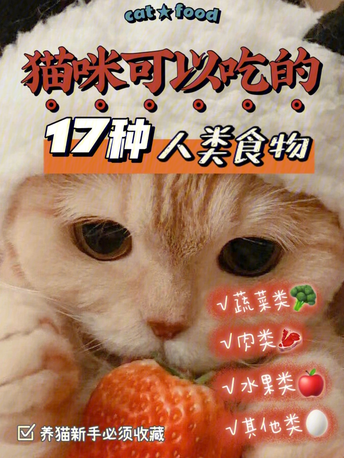 猫能吃啥71这17种人类食物能吃75附喂养方法