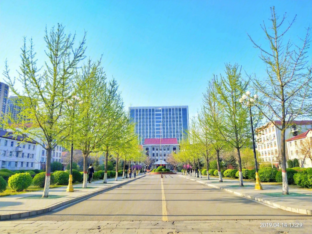 太原科技大学男女比例图片