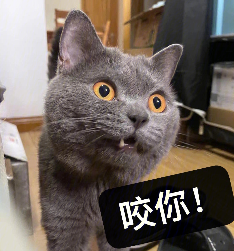 蓝猫行走的表情包