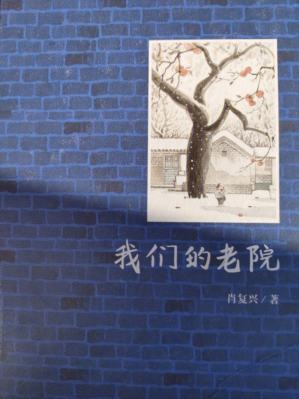 肖复兴我们的老院是人生亦是文学