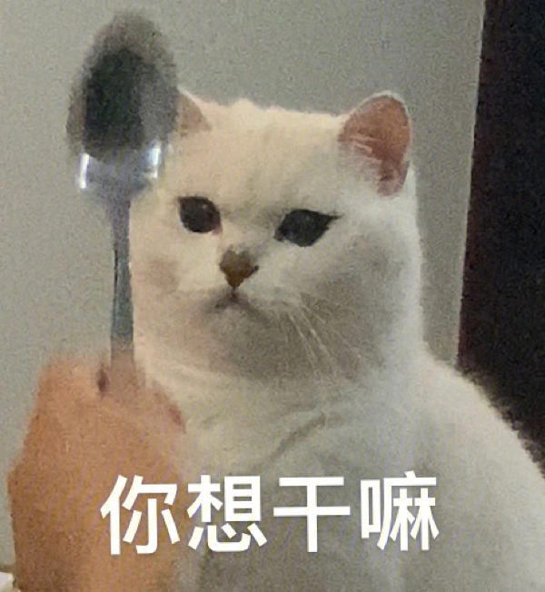 垮起个小猫批脸图片图片