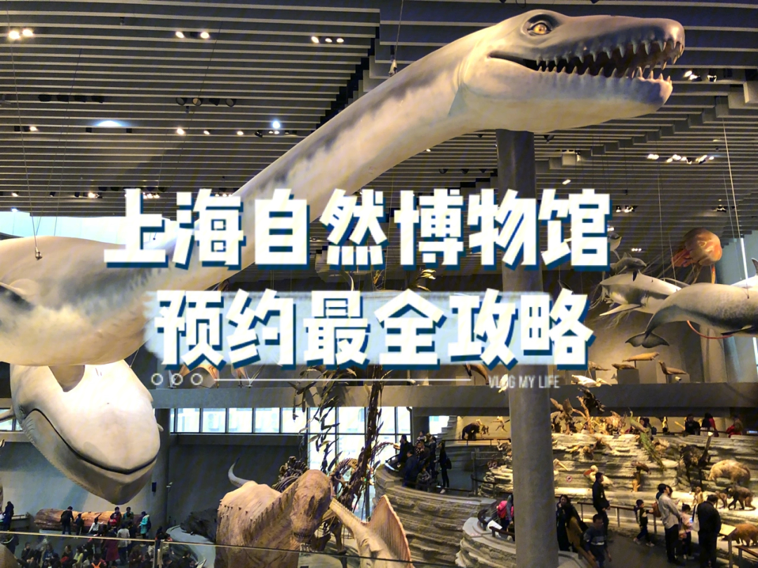 上海自然博物馆预约最全攻略