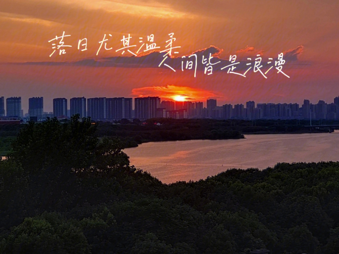 手机里的夕阳与落日