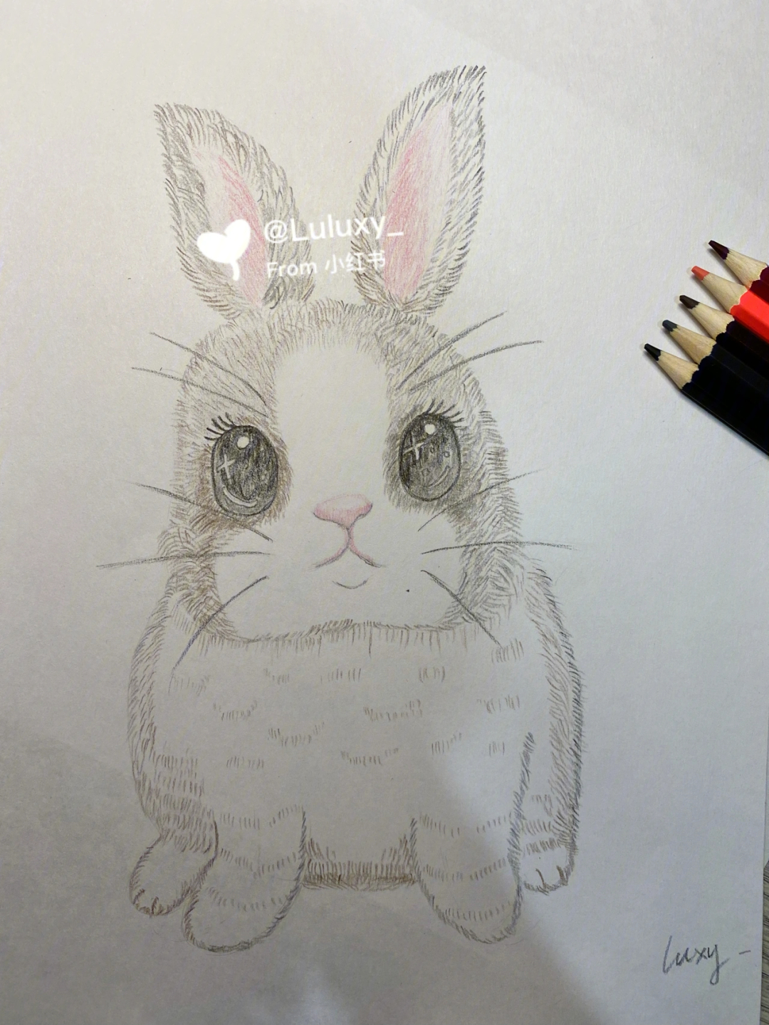 手绘彩铅兔子