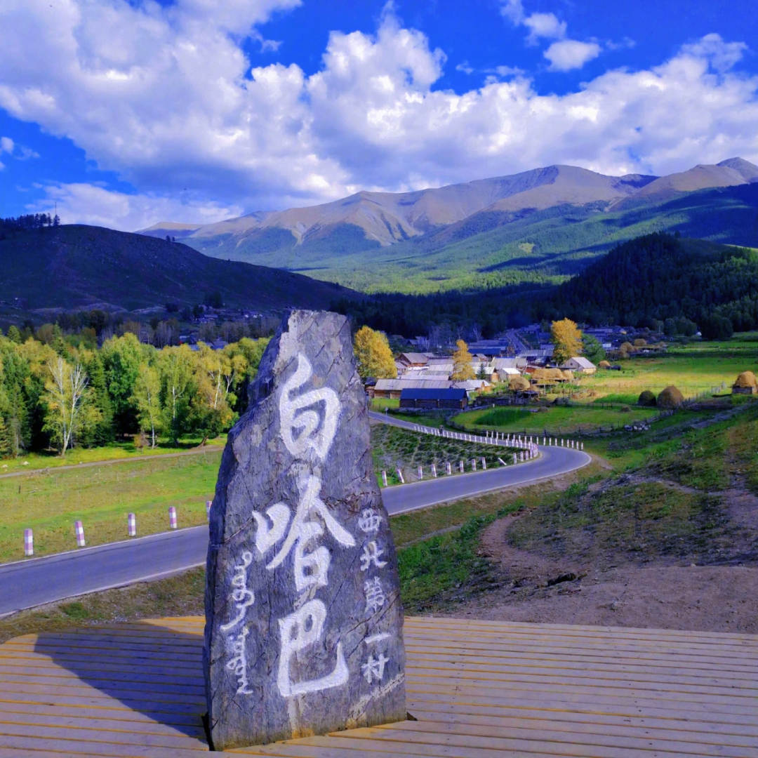 新疆天山种公牛站图片