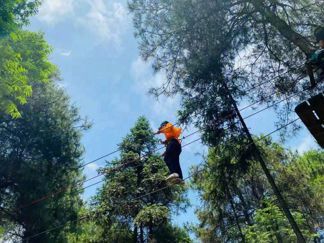 丛林飞跃歌乐山图片