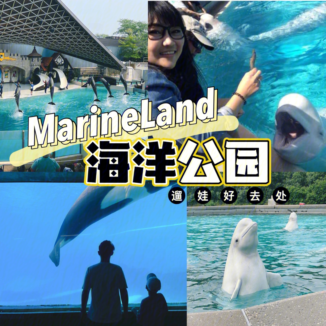 长风公园好玩吗_上海海洋水族馆和长风海洋世界哪个好玩_顾村公园好玩还是植物园好玩