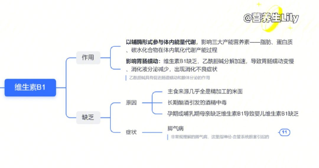 维生素b1大盘点