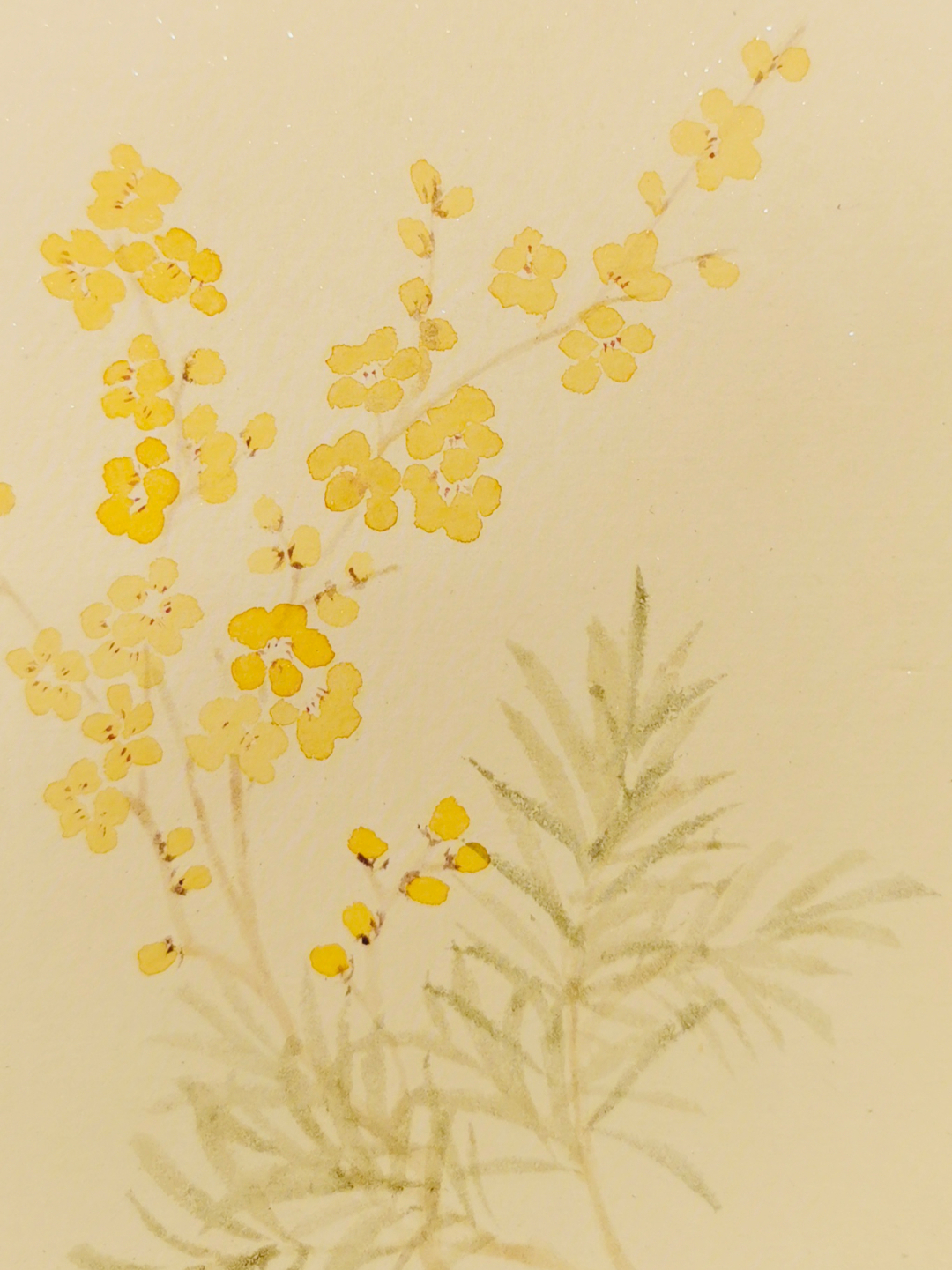 没骨画花鸟小品图片