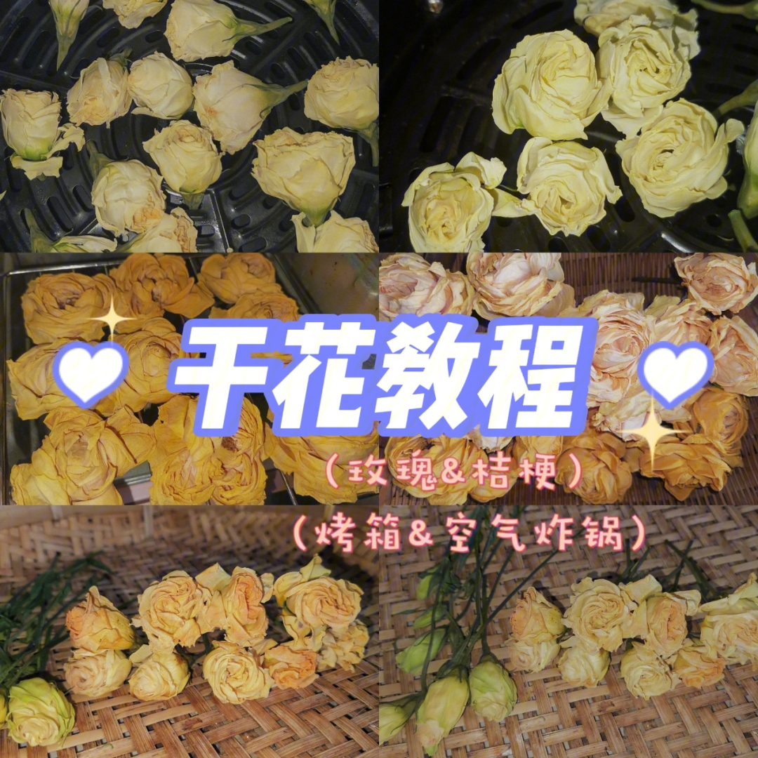 保姆级干花教程桔梗玫瑰