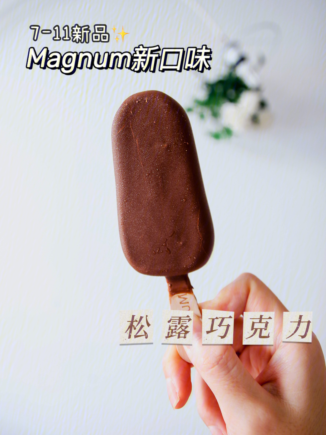 magnumicecream图片