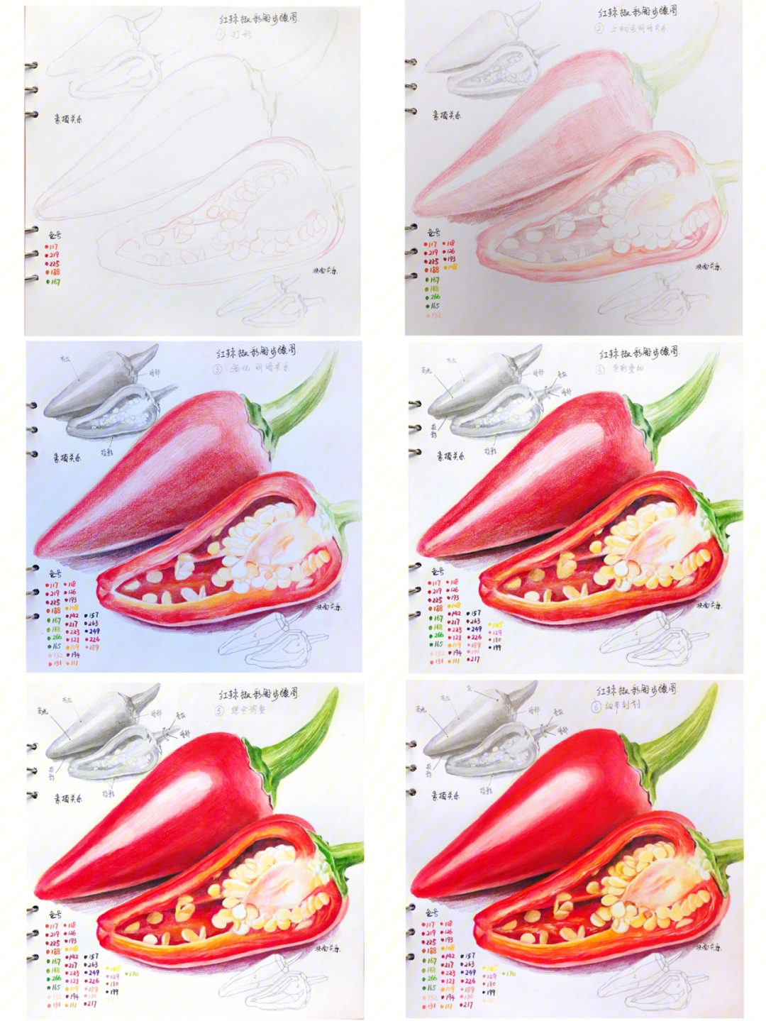 彩铅画红辣椒步骤教学深度解析