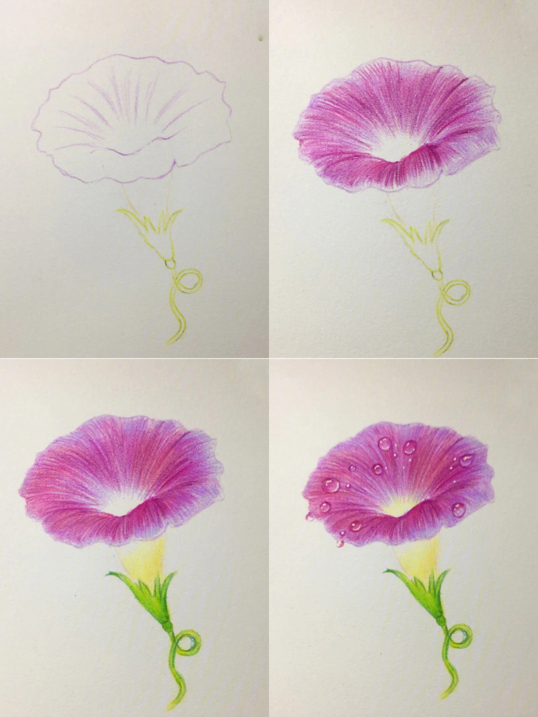 油画花朵画法简单步骤图片