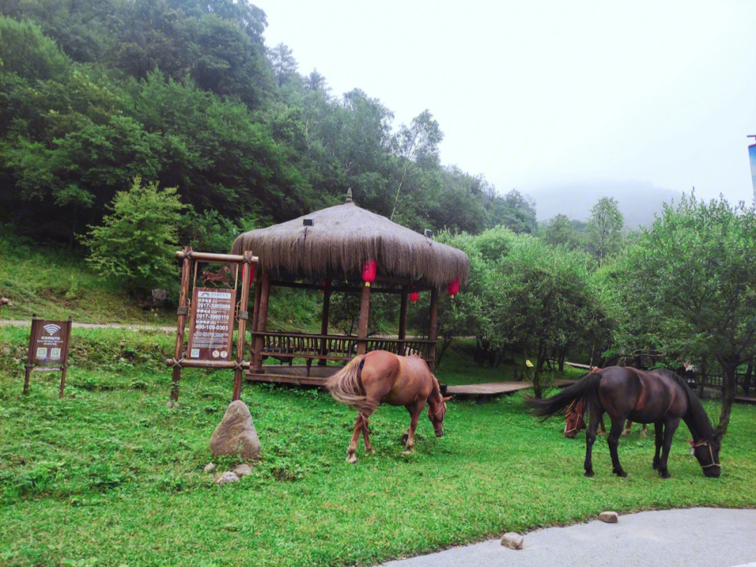 大水川自驾游图片