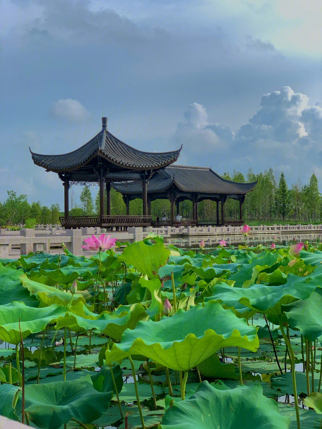 温岭市九龙湖公园图片