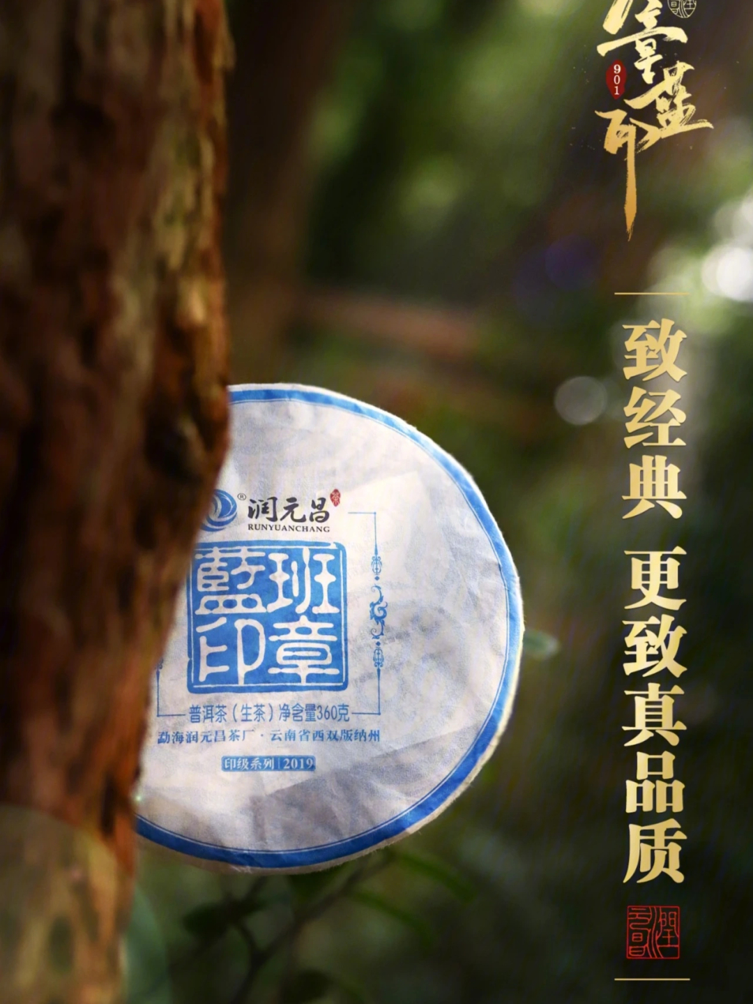 锤子说茶