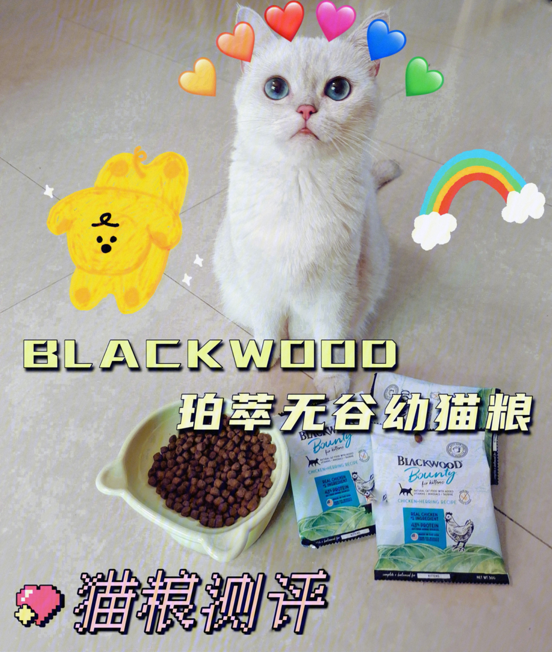 进口猫粮测评blackwood珀萃无谷幼猫粮