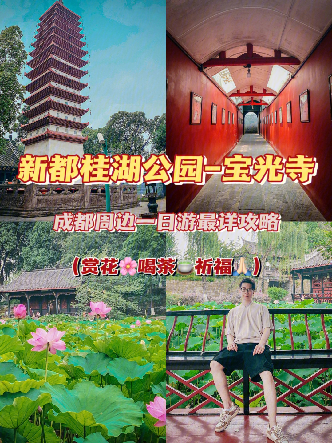 桂湖公园门票图片