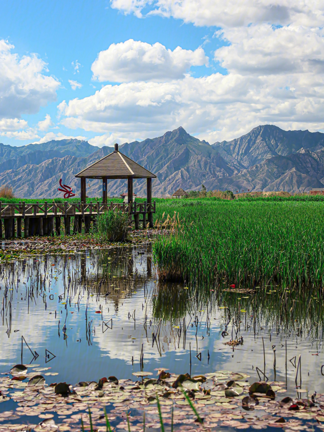 哈素海敕勒川草原风景美如画