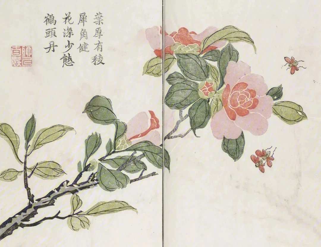 芥子园画谱清朝原版图片