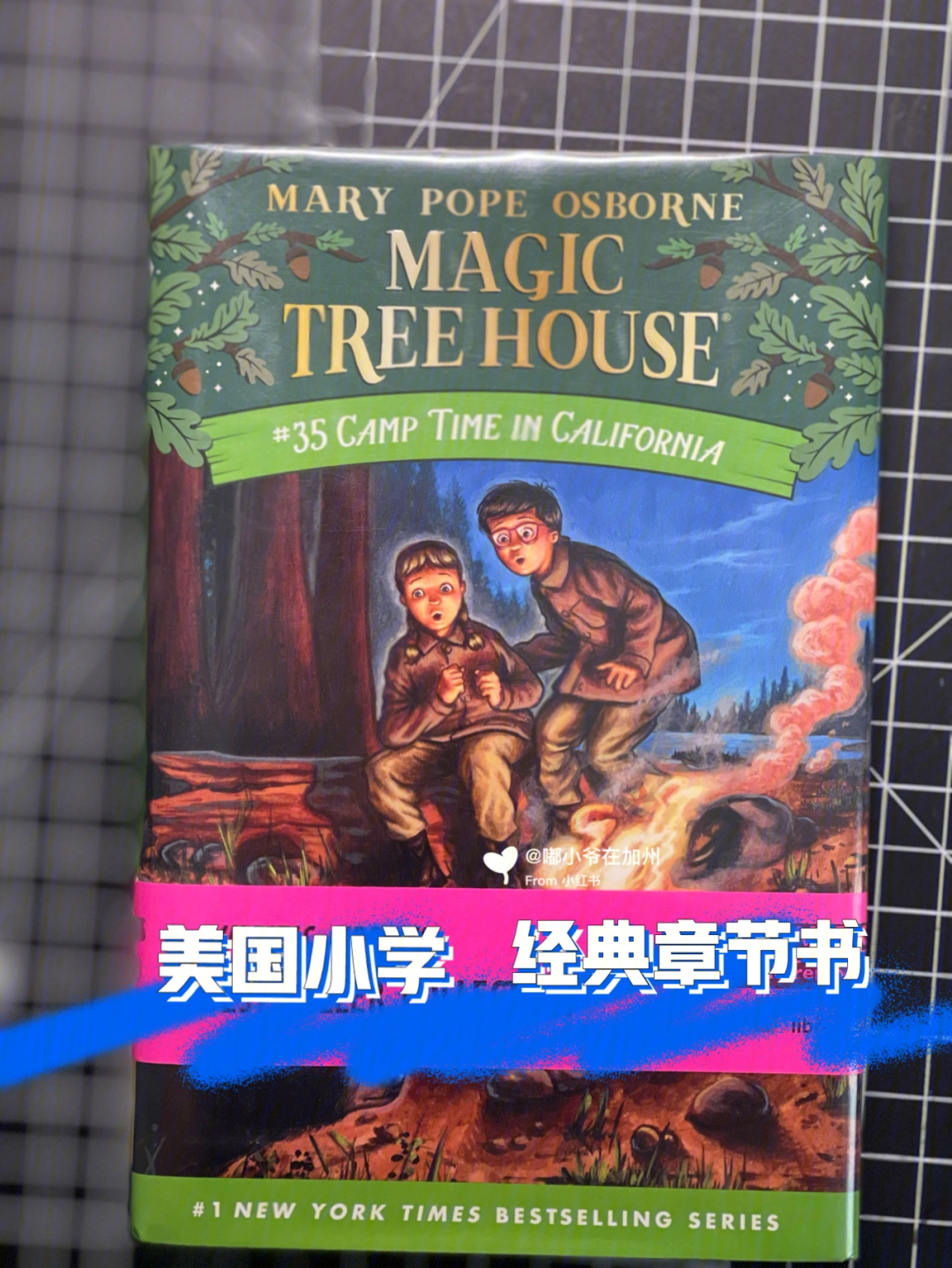 美国小学阅读经典章节书magictreehouse