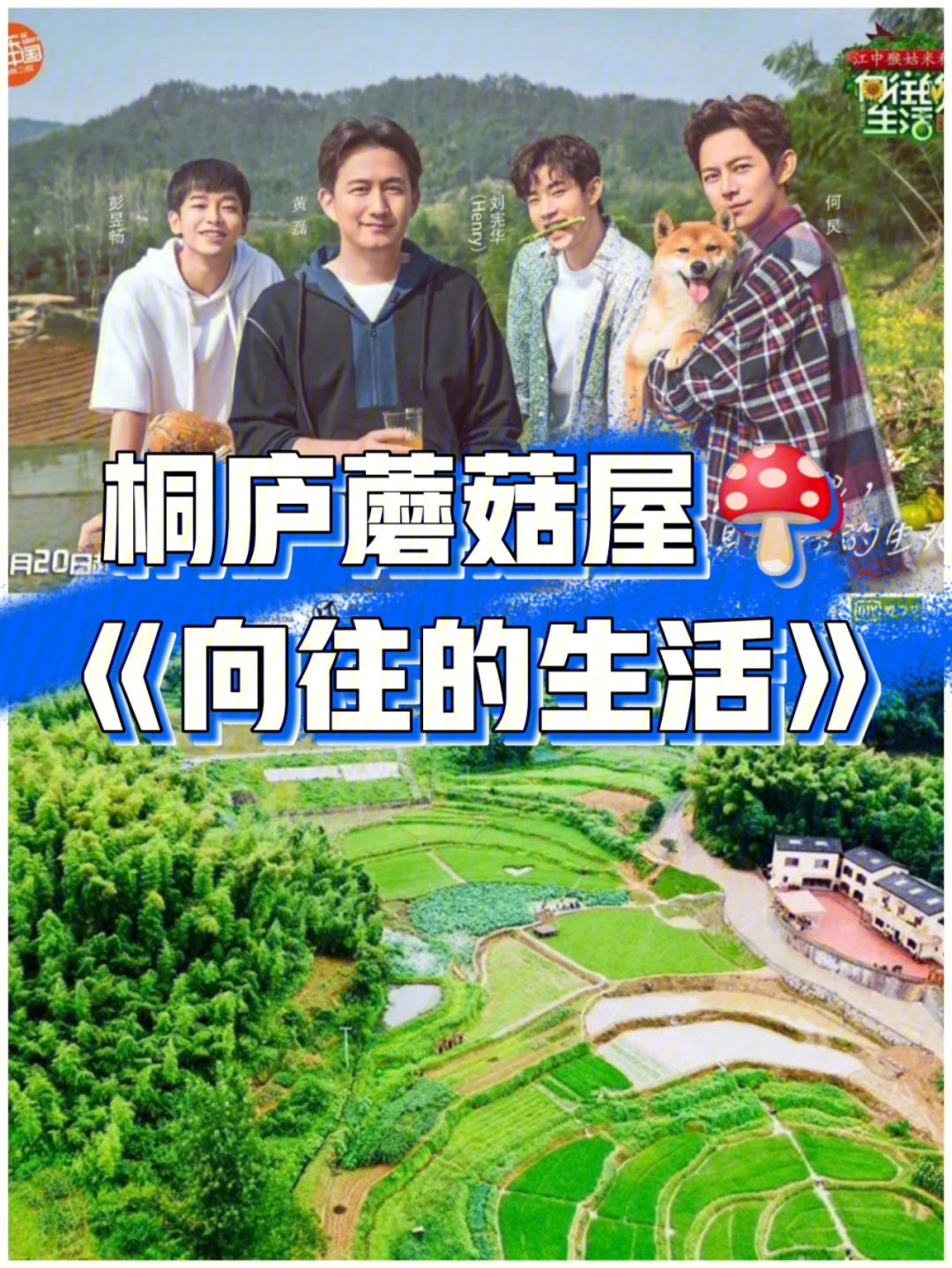 《向往的生活第二季》让桐庐合岭村99爆红,青山绿水90,云海梯田