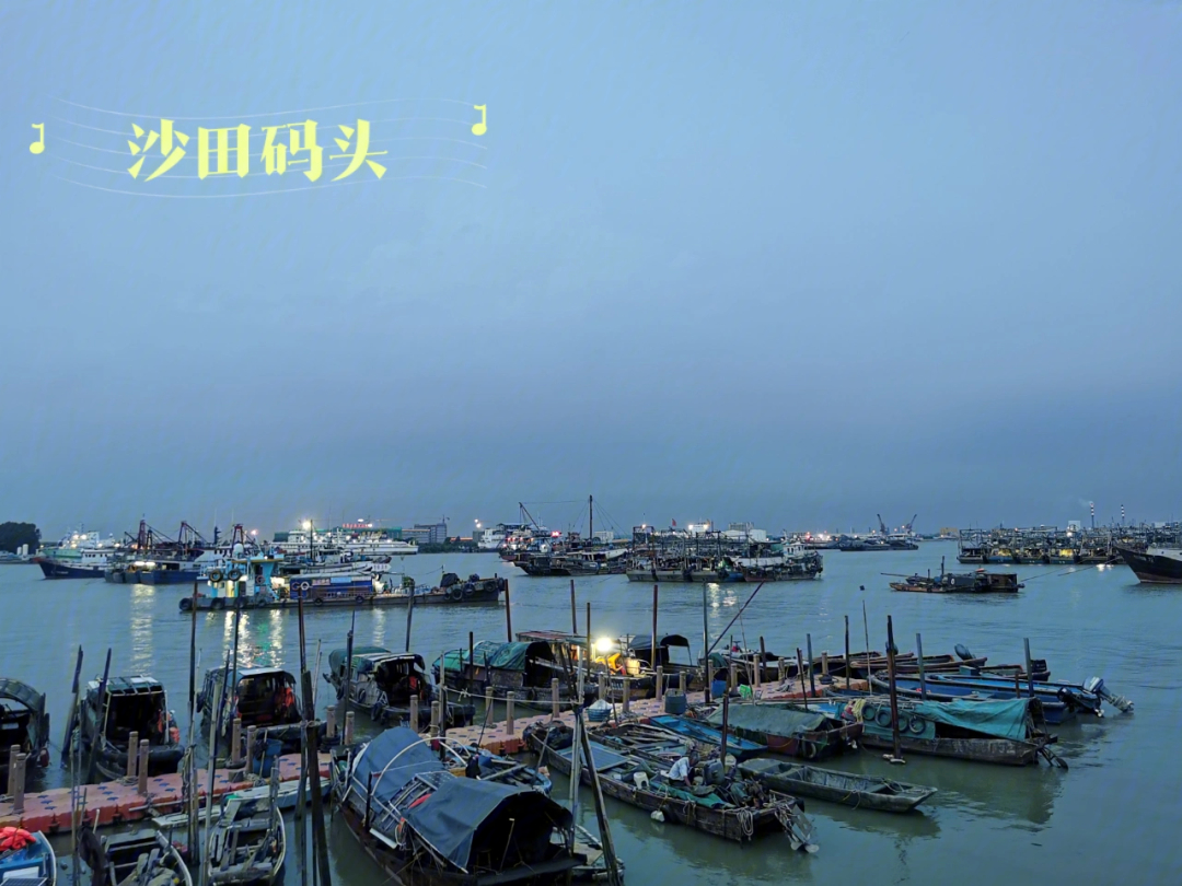 沙田游艇码头图片