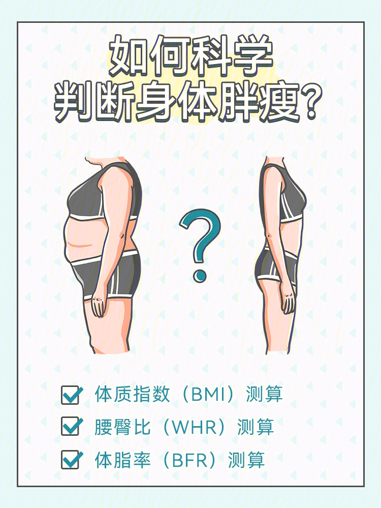 腹型肥胖腰臀比图片