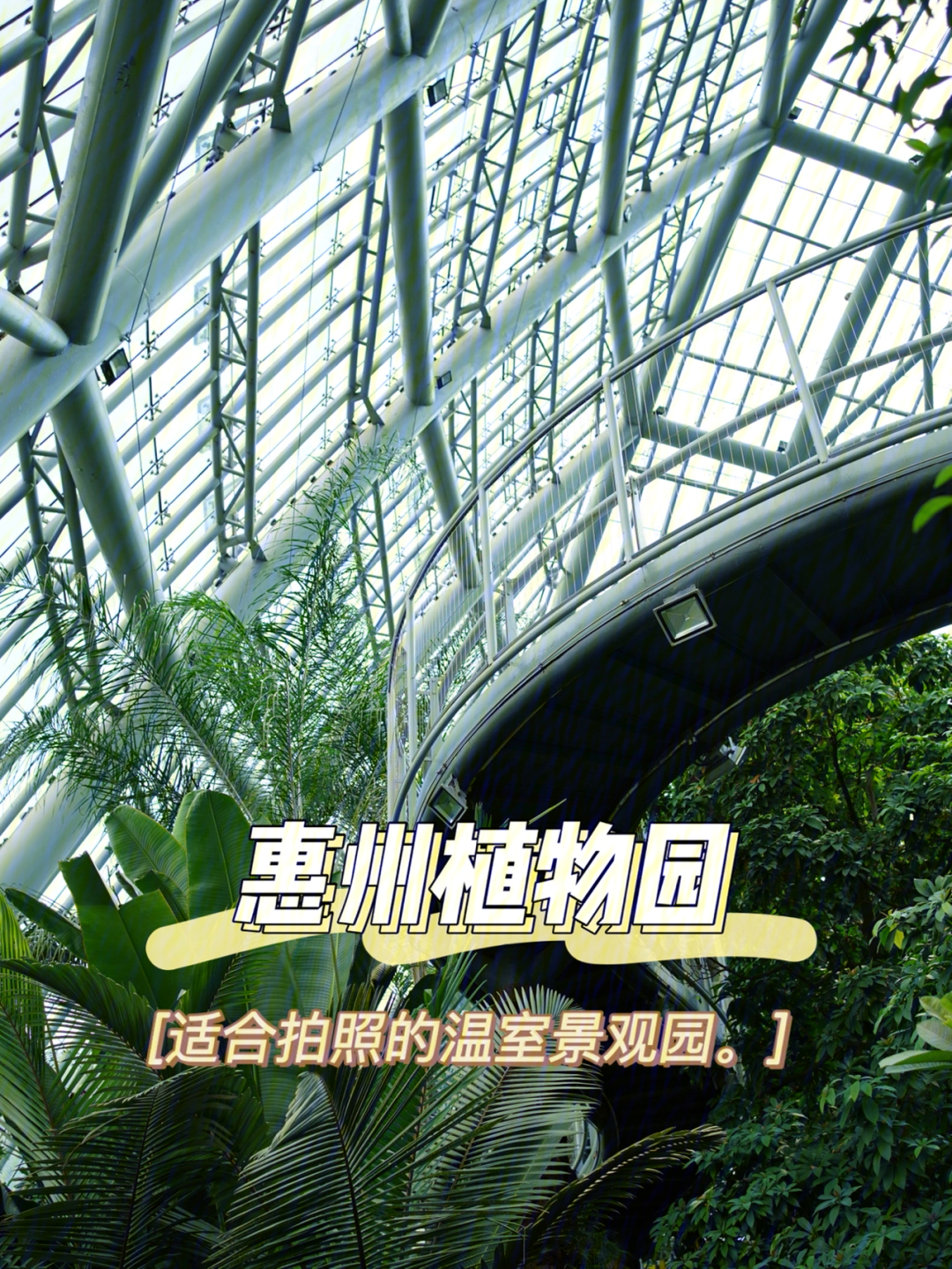 惠州植物园适合拍照打卡的温室景观园